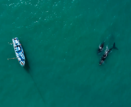 0 Bedroom Property for Sale in Mossel Bay Central Western Cape